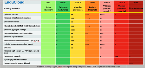 Polarized Training 2